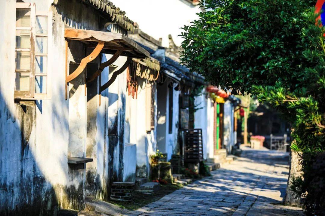 新春走基层|山海共潮生——跨越28年的“双向奔赴”